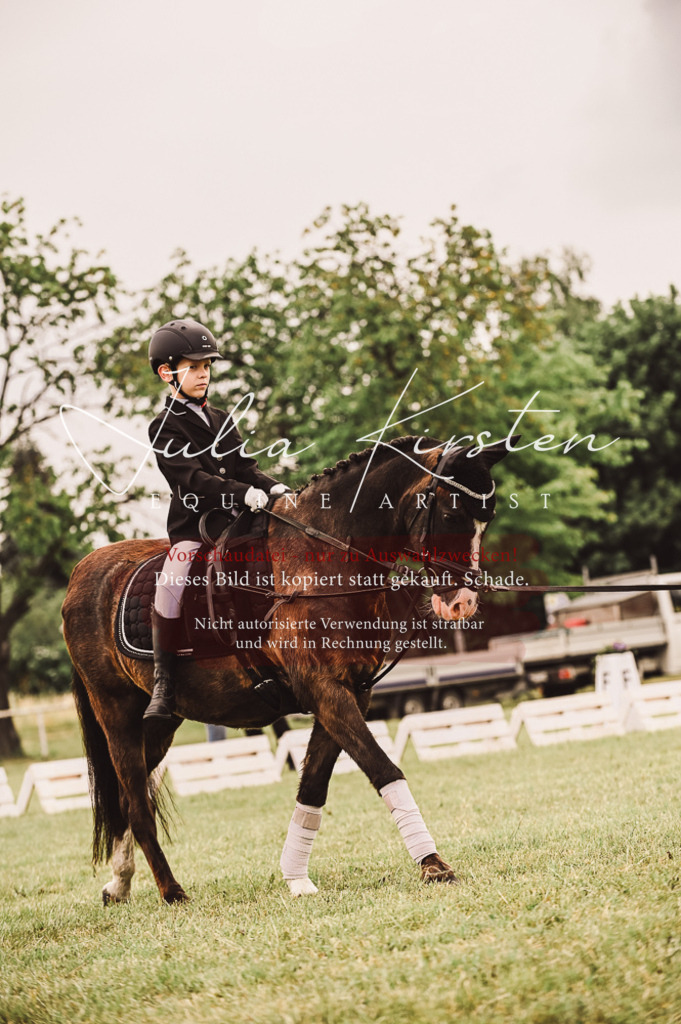 DSC_5289 | Pferde- und Turnierfotografie in Westsachsen. Pferdeportraits, Auftragszeichnungen und intuitive Kunst.