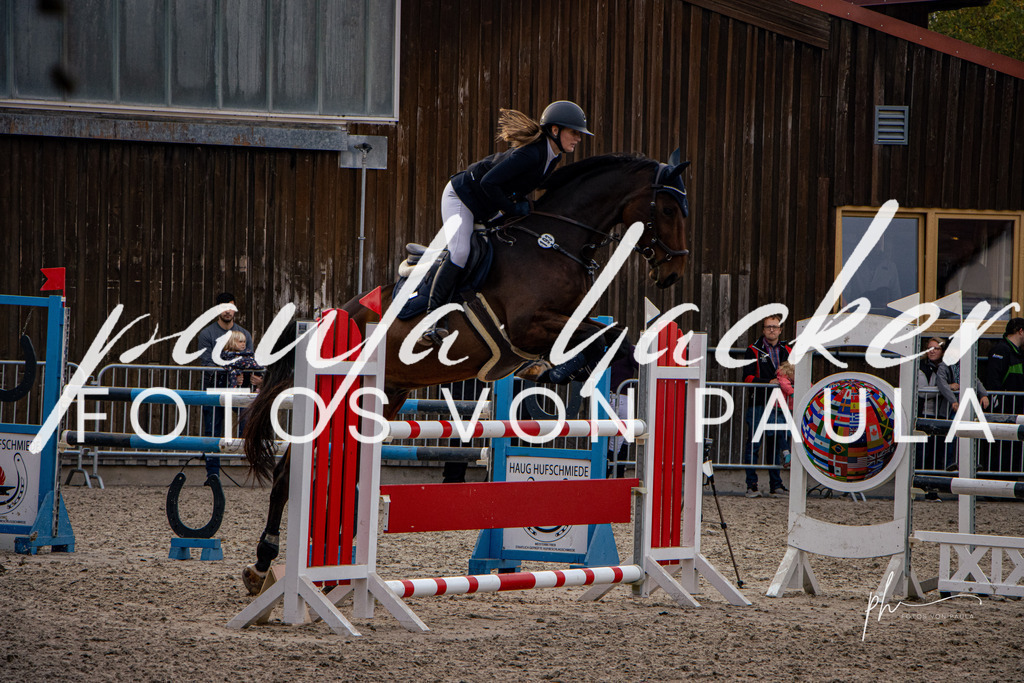 IMG_5037 | Erleben Sie dynamische Sport- und emotionale Tierfotografie in Süddeutschland mit Fotos von Paula. Spezialisiert auf Pferde- und Hundefotografie sowie Sportevents. Kontaktieren Sie mich für einzigartige und ausdrucksstarke Bilder Ihrer besonderen Momente. - Realisiert mit Pictrs.com