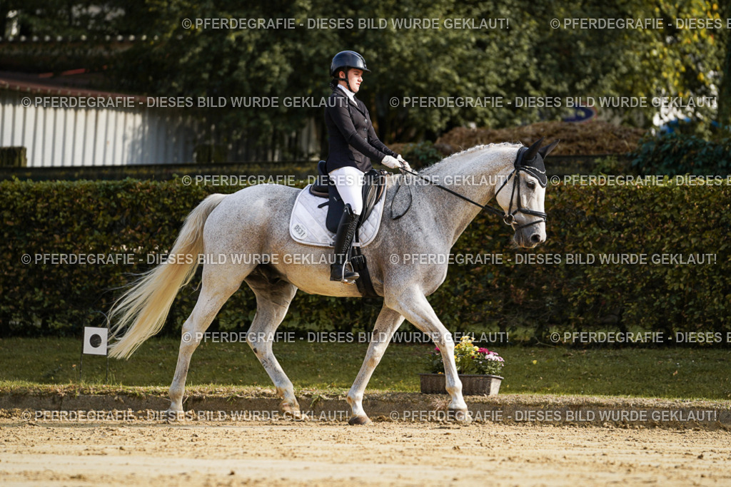 DSC05632 | Pferdegrafie