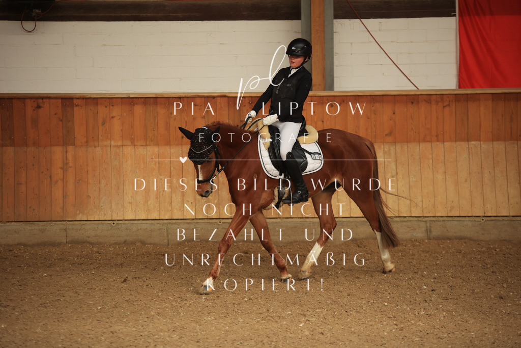 IMGT5524 | pl-fotografie