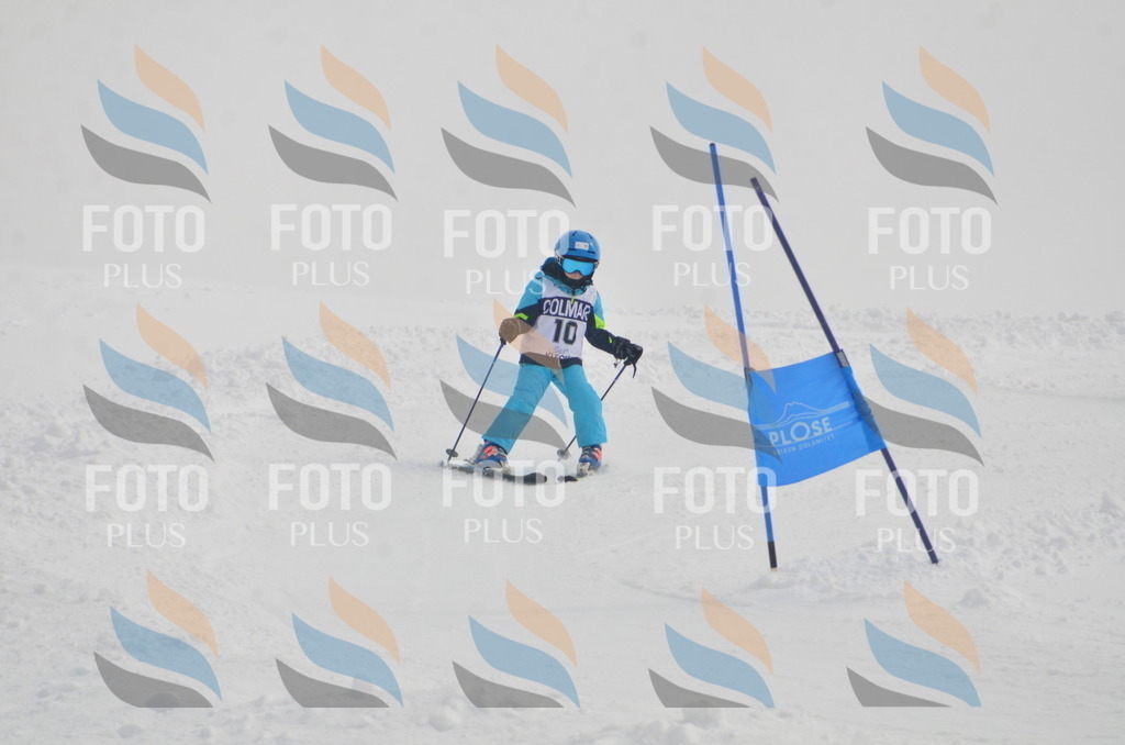 A5061 | holidayphoto