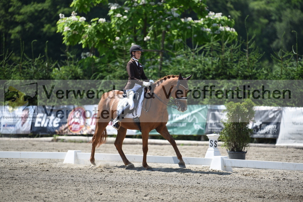 DSC_1465 | equestrian-live-com