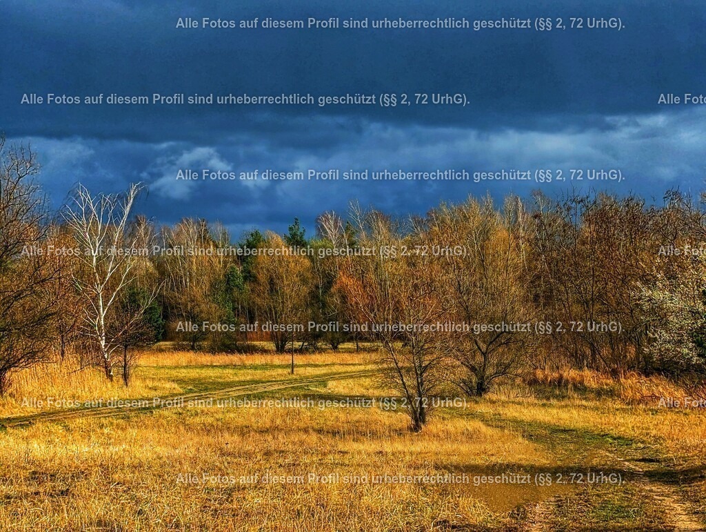 eZy_Watermark_25-03-2023_07-25-23 (1)-01_2 | krollfotografie - Realisiert mit Pictrs.com