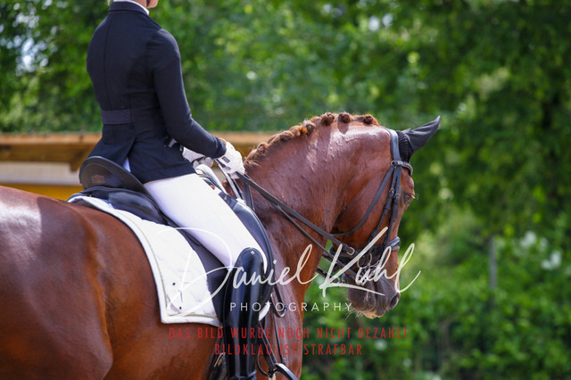 DKP41195 | Turnierfotos kaufen im Webshop von Daniel Kuhl Photography – entdecke professionelle Reitsportfotos aus Turnieren & Events. Hochwertige Turnierbilder online bestellen & sichern. Jetzt Fotos von Reitsportturnieren kaufen!