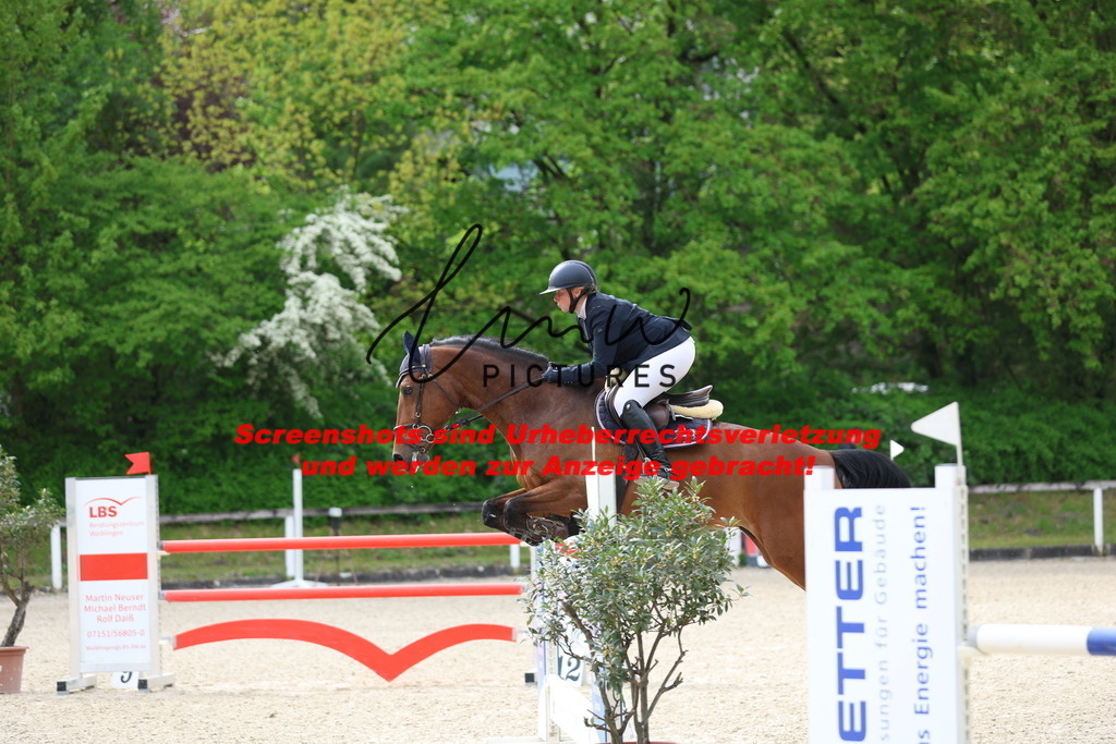 A40A5125 | lmwpictures - Realisiert mit Pictrs.com