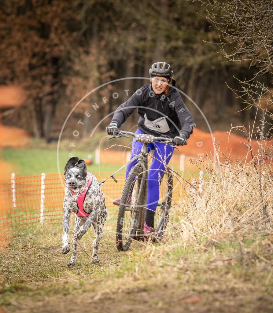 DV3A1400 | Hundefotografie, Tierfotograf, Pfotenfotografie, Fotoshooting Hund, Hunde Portrait, Hundesport, Hundeportraits, Heideshooting, Hunde, Sportfotograf, Hundefotograf, Turnierhundsport, THS,  - Realisiert mit Pictrs.com