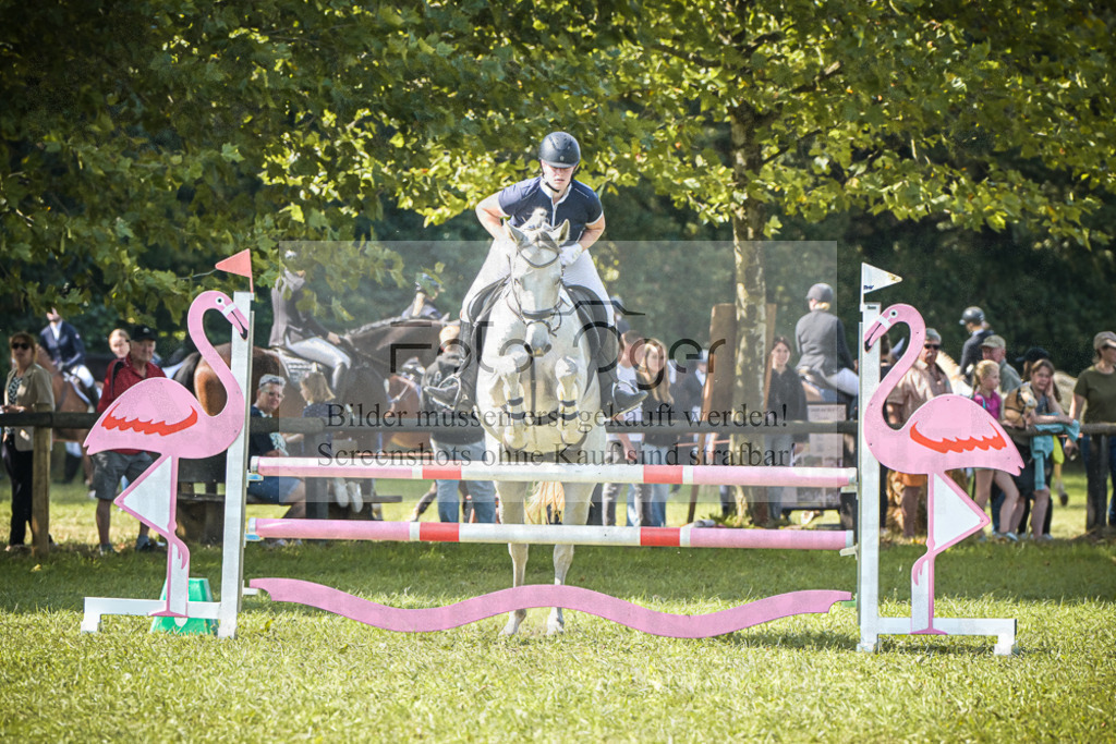DOS_0916 | Entdecke hochwertige Reitturnierfotos von Foto Oger. Professionell, emotional und authentisch – jetzt Lieblingsmomente im Shop bestellen.Deutschlandweite Turnierfotografie. - Realisiert mit Pictrs.com