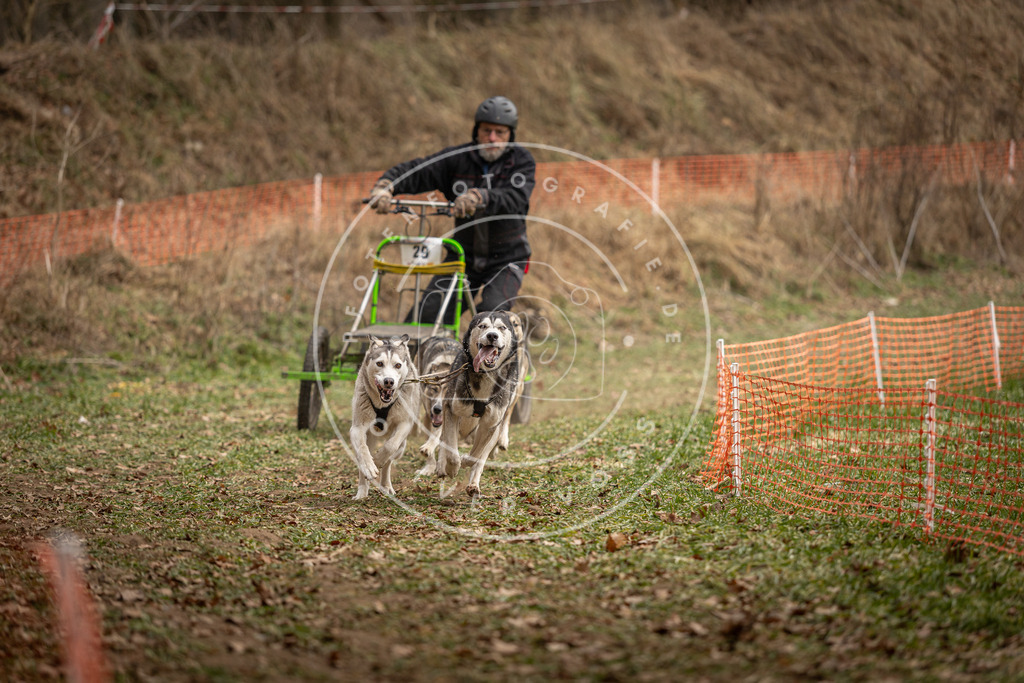Pfotenfotografie_DV3A8376 | Hundefotografie, Tierfotograf, Pfotenfotografie, Fotoshooting Hund, Hunde Portrait, Hundesport, Hundeportraits, Heideshooting, Hunde, Sportfotograf, Hundefotograf, Turnierhundsport, THS,  - Realisiert mit Pictrs.com