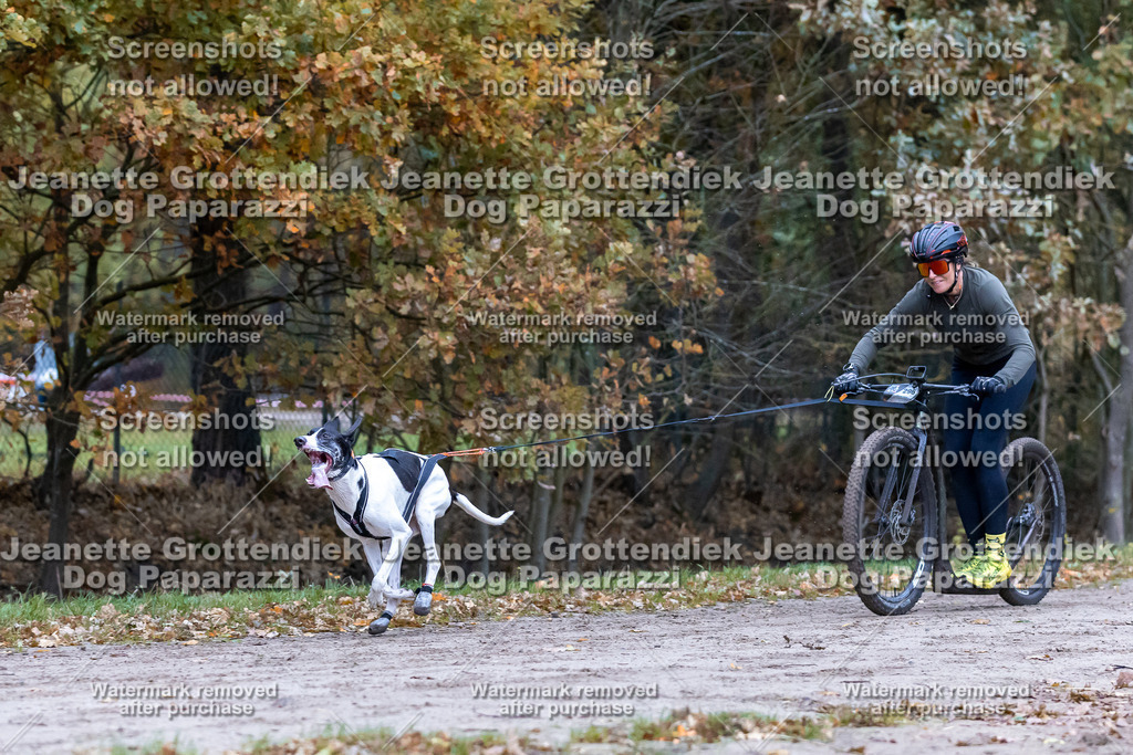 Dog Paparazzi - SD CaniX Championship 2025-84 | Dog Paparazzi Jeanette Grottendiek Fotografie & Videografie - Realisiert mit Pictrs.com