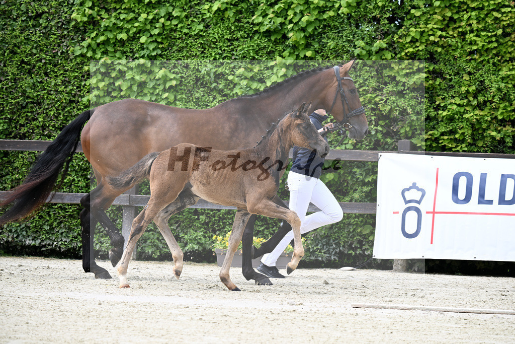 Kat-Nr. 4 Bonhoeffer x Danone_Zweckl_25240213 | hf-fotografie - Realisiert mit Pictrs.com