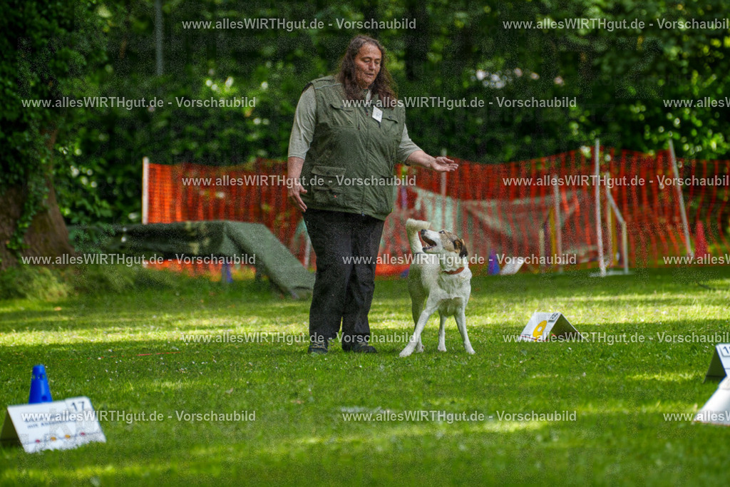 @allesWIRTHgut_Tierfotografie - www.allesWIRTHgut.de - 7R504372 | Professionelle Tierfotografie in Mönchengladbach von Daniel Wirth (allesWIRTHgut). Liebevolle & natürliche Bilder von Hunden & Katzen für unvergessliche Erinnerungen.