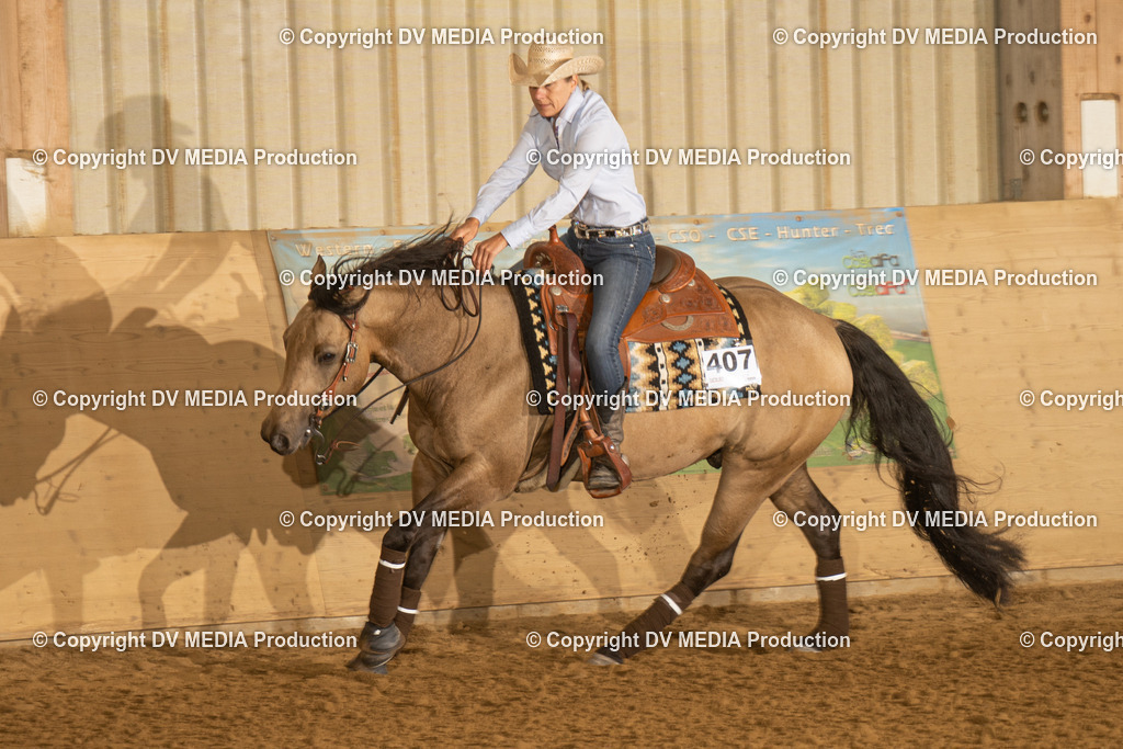 LAU00188 | dv-media-shop - Realisiert mit Pictrs.com