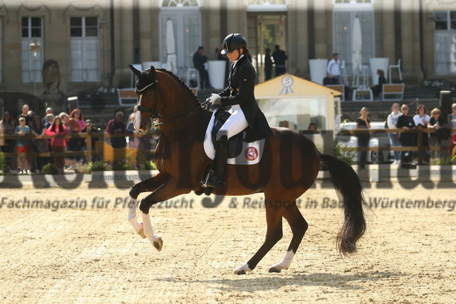 Ludwigsburg_2022_Prfg.Nr.03_FEI Grand Prix_Lisa-Maria Klössinger_FBW Daktari (20) | Alle Fotos der Reiterjournal Fotografin Doris Matthaes im Reiterjournal Online-Fotoshop. - Realizado com Pictrs.com