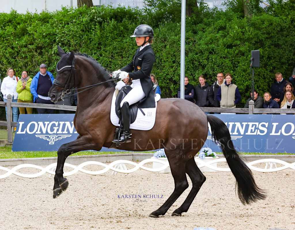 1B3A8045 | Reitsport Reiten