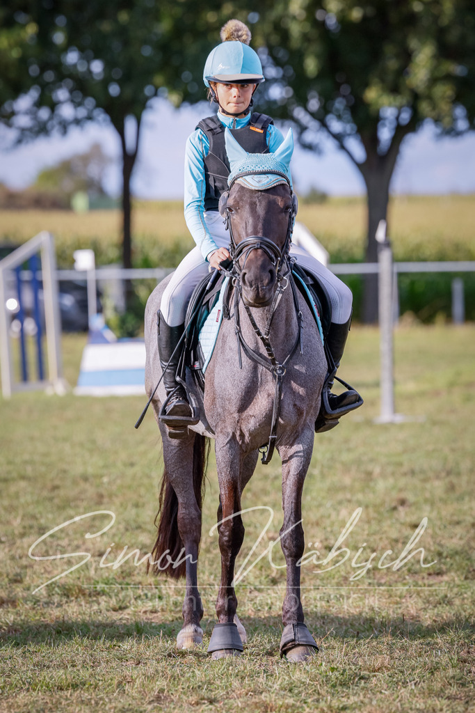 20250905-_3LI2358 | Tierfotografie Pferde, Hunde, Katzen, Haustiere.
Turnierfotografie Reitturniere, Reiten, Springreiten, Dressur in Hanau, dem Main-Kinzig-Kreis und dem Rhein-Main- Gebiet um Frankfurt