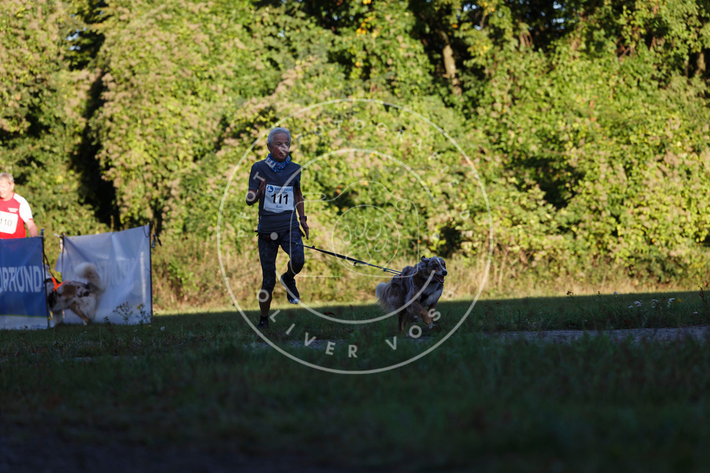 0L8A4572 | Hundefotografie, Tierfotograf, Pfotenfotografie, Fotoshooting Hund, Hunde Portrait, Hundesport, Hundeportraits, Heideshooting, Hunde, Sportfotograf, Hundefotograf, Turnierhundsport, THS,  - Realisiert mit Pictrs.com
