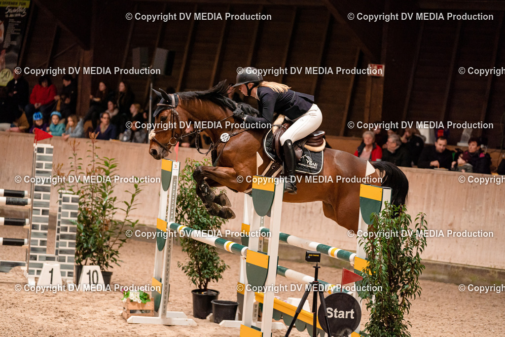 Springen Tag 2-715 | dv-media-shop - Realisiert mit Pictrs.com