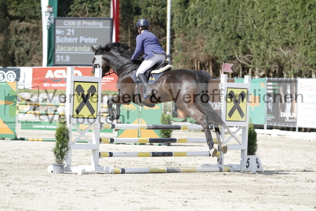 _MG_7976 | equestrian-live-com