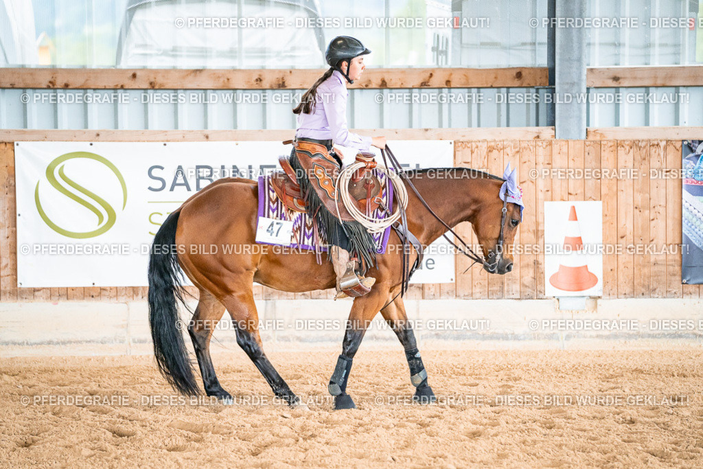 DSC09353 | Pferdegrafie