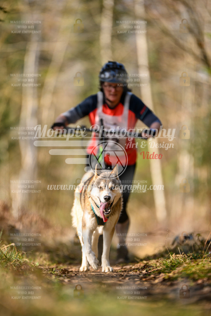 MompixPhotography_6ReiatRennen2026_SO_Scooter-29 | PayLife