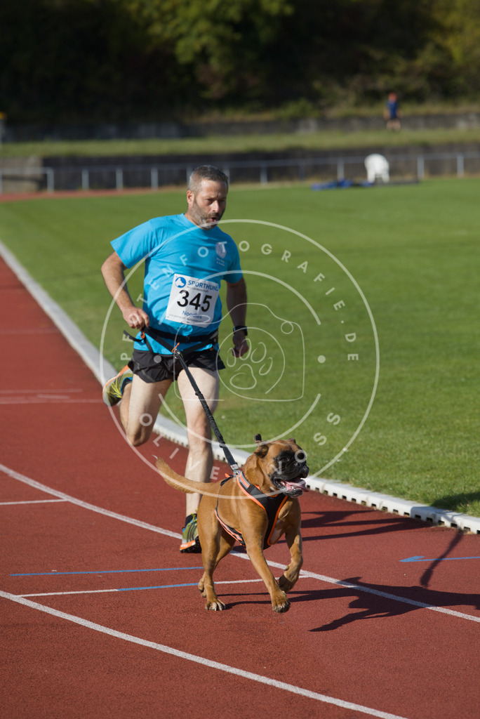 0L8A9115 | Hundefotografie, Tierfotograf, Pfotenfotografie, Fotoshooting Hund, Hunde Portrait, Hundesport, Hundeportraits, Heideshooting, Hunde, Sportfotograf, Hundefotograf, Turnierhundsport, THS,  - Realisiert mit Pictrs.com