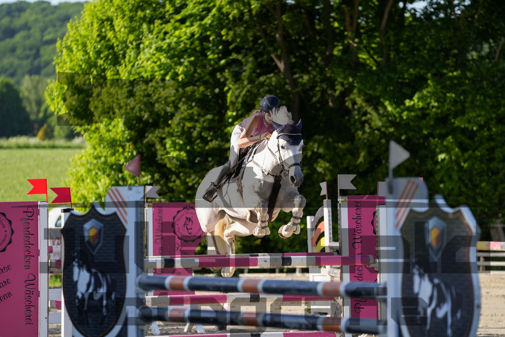 DSC02545 | Julian Held Fotografie - Realisiert mit Pictrs.com