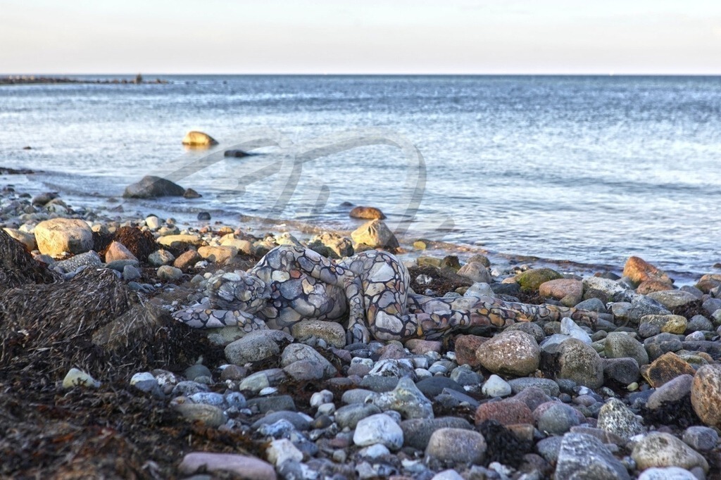 NatureArt-OSTSEESTEINE_0150b | Steine an der Ostsee | #004 | Modell: Tina | Foto: Mike Koppold - Realisiert mit Pictrs.com