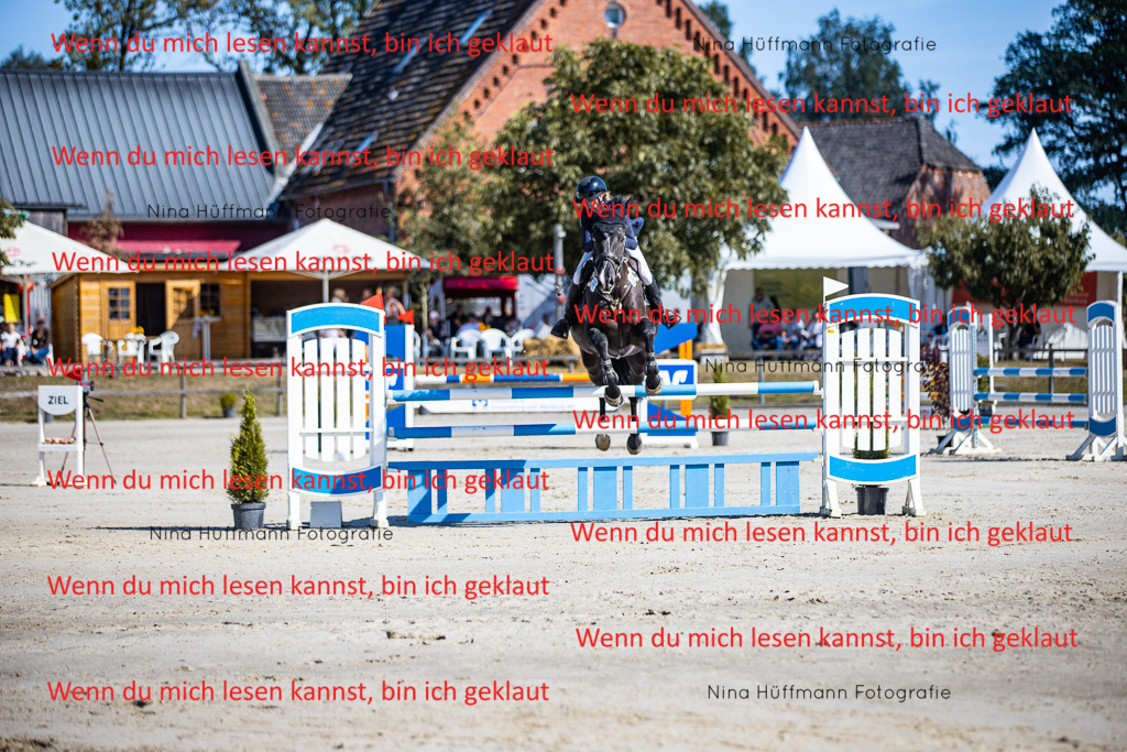 BK1A5623 | Turnierbilder Turnierfotos Nina Hüffmann Turnierfotografie Pferdefotografie Tierzeichnung Haustierzeichnung Pferdezeichnung Hundezeichnung Videograf  - Realisiert mit Pictrs.com