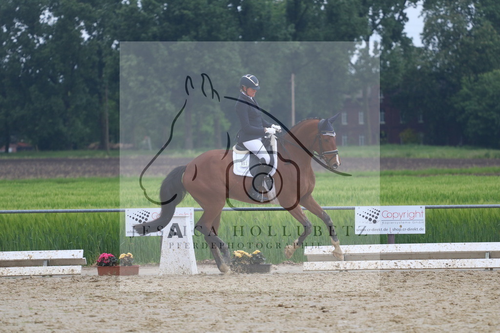 IMG_7315 | jessicahollubetz_pferdephotographie - Realisiert mit Pictrs.com