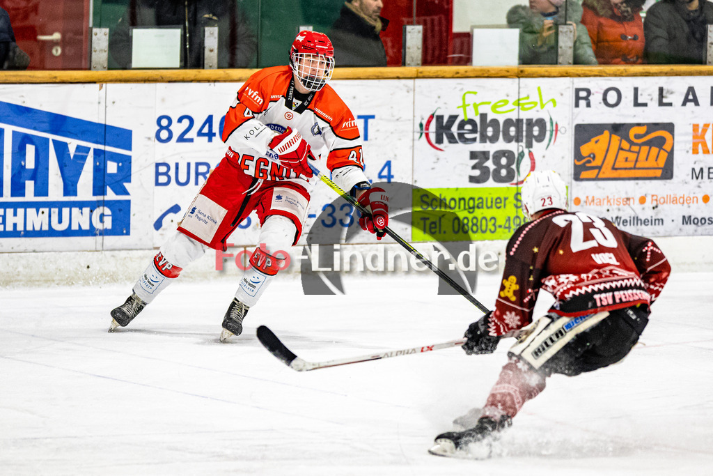 C1DX8225 | Shop für Sportfotografie, Bilddatenbank, Pressefotografie, Fußball, Eishockey, Aktionsfotos