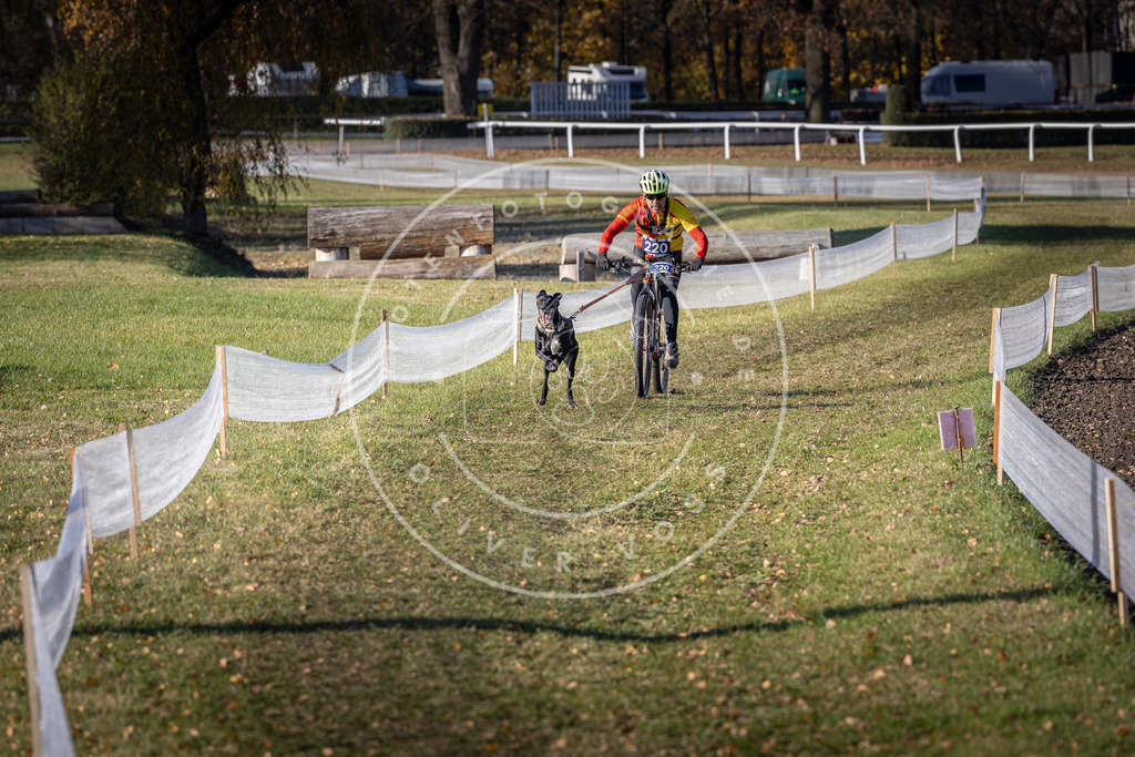 CaniXpix_DV3A3402 | Hundefotografie, Tierfotograf, Pfotenfotografie, Fotoshooting Hund, Hunde Portrait, Hundesport, Hundeportraits, Heideshooting, Hunde, Sportfotograf, Hundefotograf, Turnierhundsport, THS,  - Realisiert mit Pictrs.com