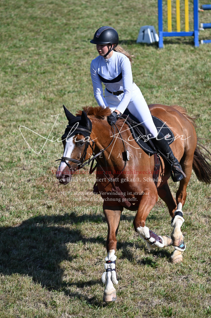 DSC_2287 | Pferde- und Turnierfotografie in Westsachsen. Pferdeportraits, Auftragszeichnungen und intuitive Kunst.