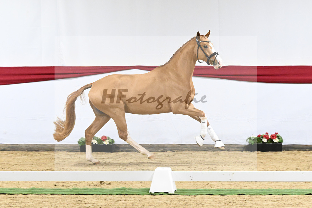 Kat-Nr. 10 v. Fuerst Samarant_Beckmann_63220044 | hf-fotografie - Realizzato con Pictrs.com