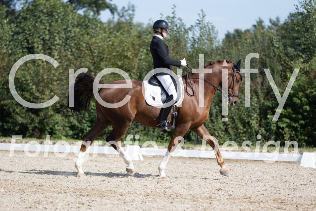 IMG_3709 | Creatify Fotografie