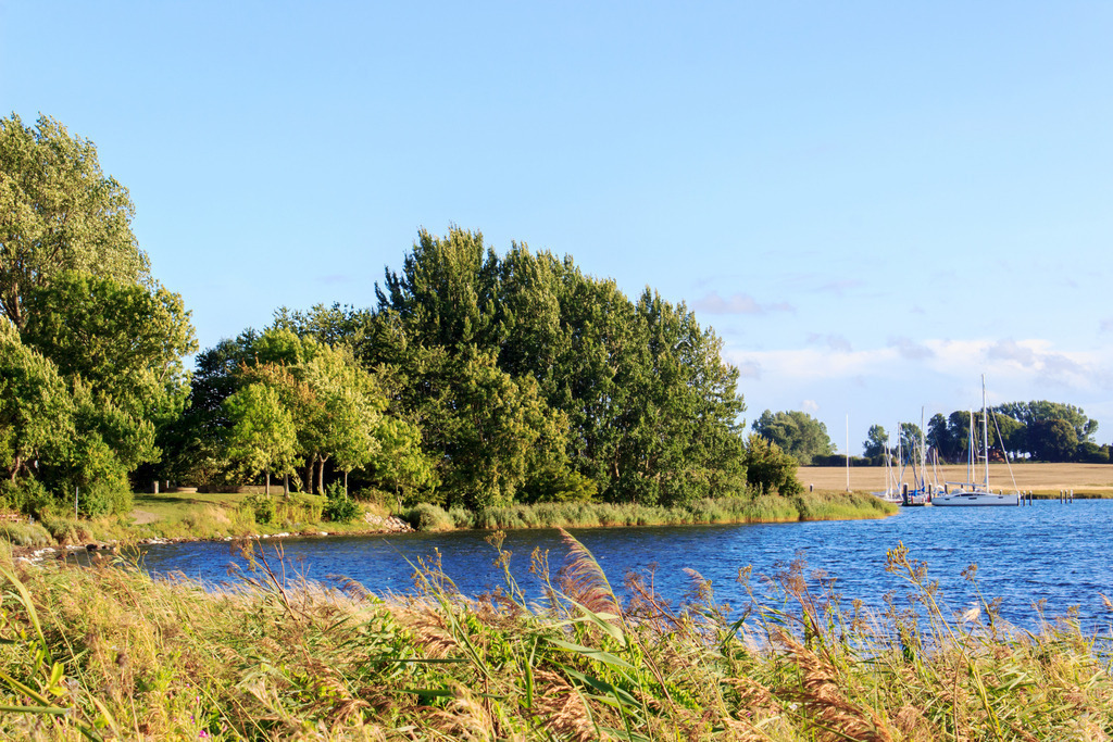 Wandbild: Uferbereich in Kopperby an der Schlei | Dieses Wandbild im Querformat zeigt einen schönen Spätsommertag an der Schlei in Kopperby. Im vorderen Bereich ist Schlei zu sehen und in der Ferne befinden sich Bäume und ein kleiner Steg mit Segelbooten. Der blaue Himmel ist fast wolkenlos. - Realisiert mit Pictrs.com