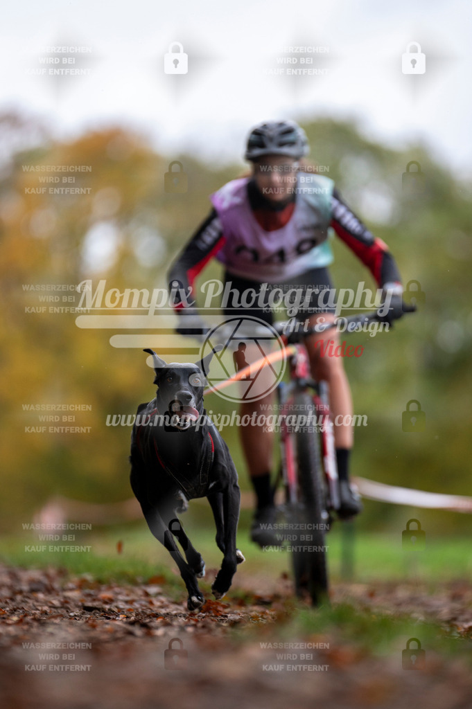 DBT_DAKM_SA_4_11_2023_Bike-60 | PayLife