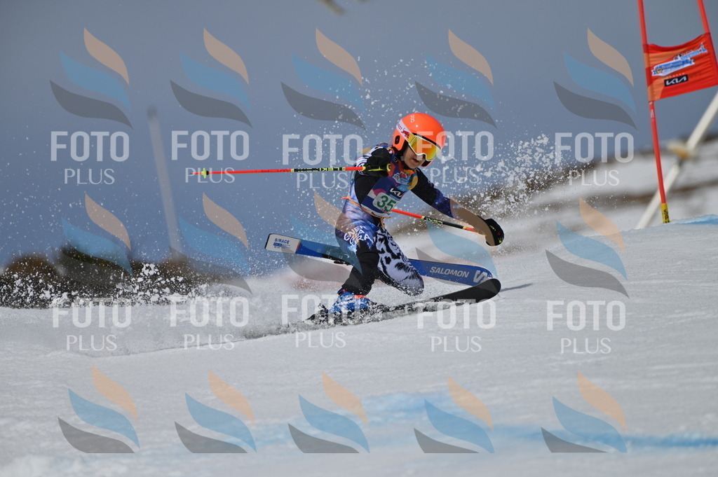 BGV_6922 | holidayphoto