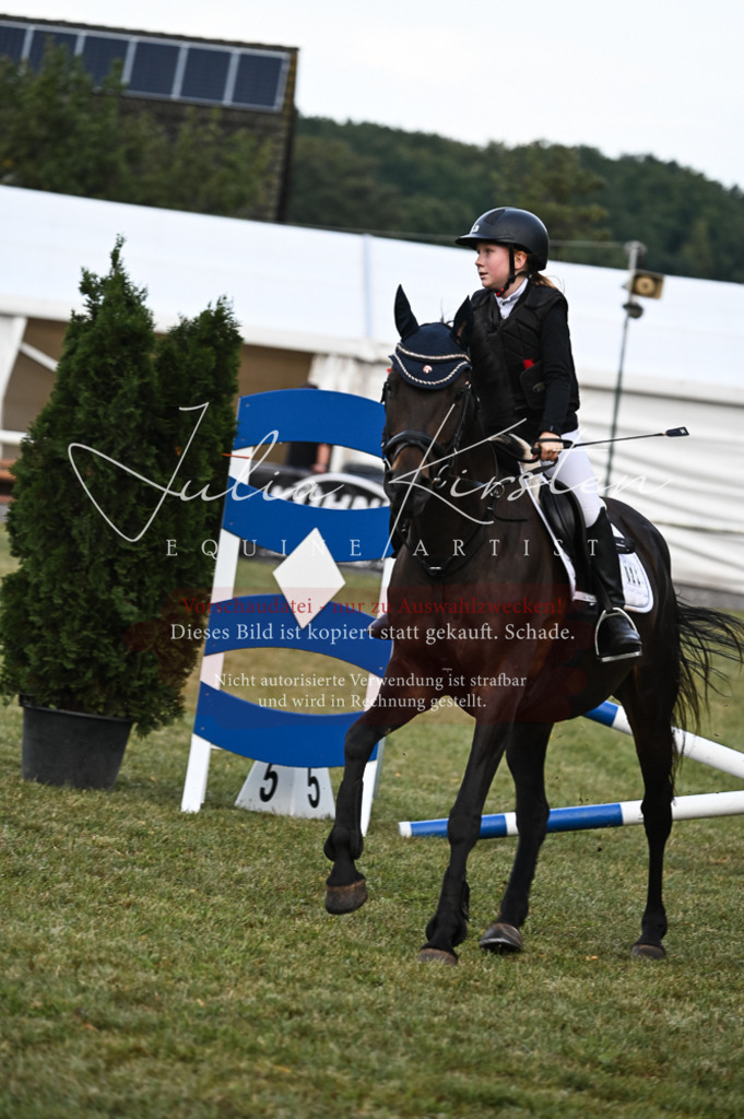 DSC_5586 | Pferde- und Turnierfotografie in Westsachsen. Pferdeportraits, Auftragszeichnungen und intuitive Kunst.