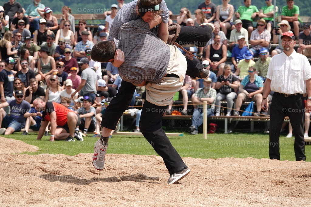 DSC04579 | Schwingen - Realisiert mit Pictrs.com