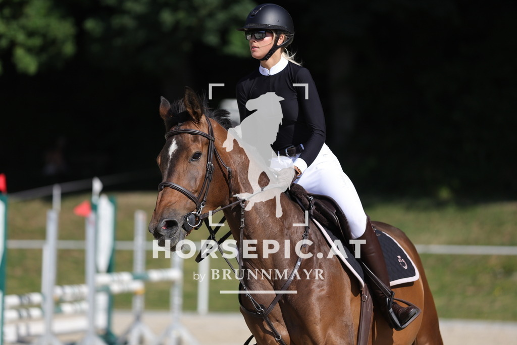 0P6A5329 | Willkommen bei Brunnmayr - Design & Fotografie – Ihrem Spezialisten für Reitturniere und Pferdeveranstaltungen in Oberösterreich, Salzburg und Bayern! Seit über 17 Jahren sind wir leidenschaftlich dabei.