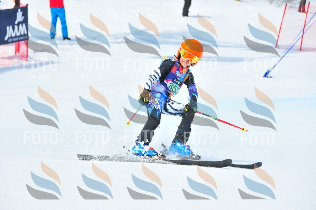 DSC_3164 | holidayphoto