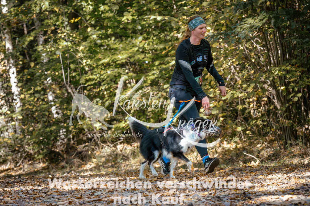 1234_ZZ95496 | kk-dogfotos