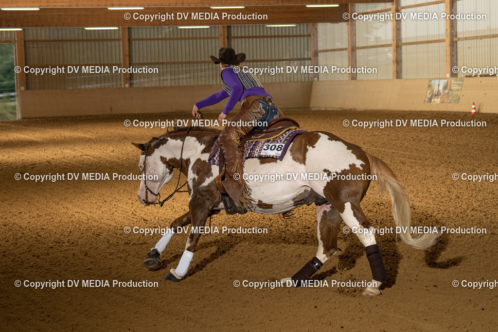 LAU01041 | dv-media-shop - Realisiert mit Pictrs.com