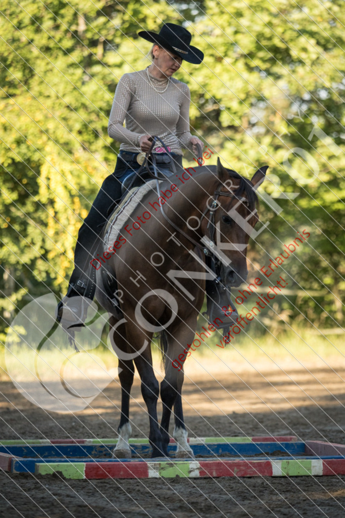 IMG_6008 | Sport-, Event- und Tierfotos in Profiqualität. Einfach auswählen, bestellen und herunterladen. Dein Moment – perfekt festgehalten.