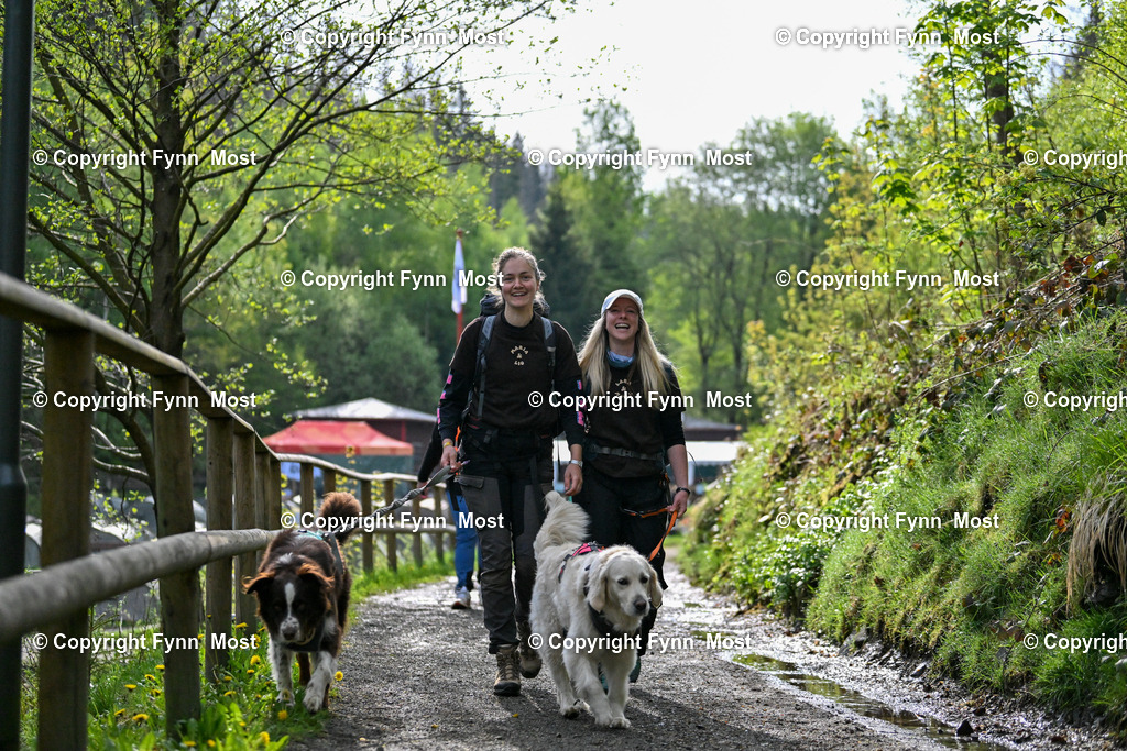 DSC_3529 | Hallo und herzlich Willkommen auf meiner Shop-Seite Fynn Most.

Ich wünsche Dir viel Spaß beim stöbern durch die Bilder, wenn Du Fragen hast oder Bilder vermisst, kannst du mir gerne eine Nachricht schreiben. - Realisiert mit Pictrs.com