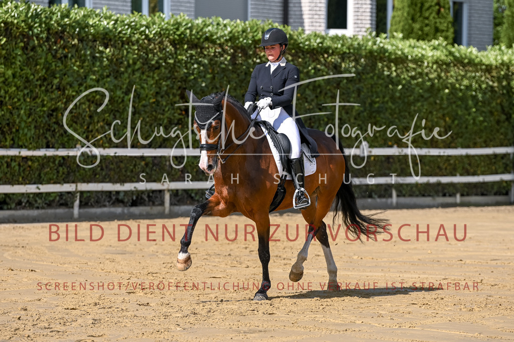 Schugtsche-Aluta25-58. Dressurprf.S1Kand.St.GeorgSpecial-275 | Schugtsche Fotografie - Realizzato con Pictrs.com