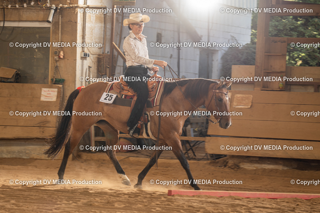 NID02729 | dv-media-shop - Realisiert mit Pictrs.com