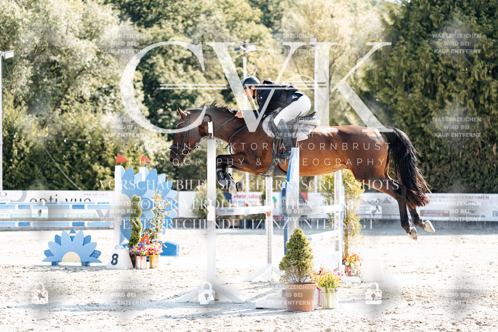 CK902677 | Turnierfotografie Pferdefotografie Trier Rheinland-Pfalz Pferdesport Reitsport Tierfotografie Sportfotografie Pferdevideo Pferdevideografie Equestrianvideography equestrianphotography  - Realisiert mit Pictrs.com