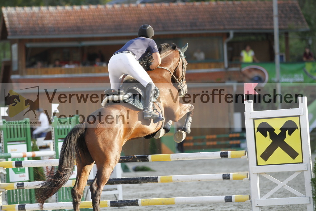 _MG_6471 | equestrian-live-com