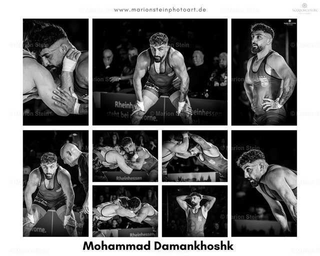 Mohammad Damankhoshk | Collage Mohammad Damankhoshk
